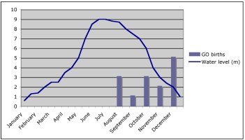 Graph showing water level peaking about a month before otter births; all otter births are on declining water levels with the peak at the start of the low water period