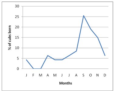 Graph showing number of cubs against month of birth showing few in Feb-Mar, more in Apr-August and a big peack in Sept before rapidly falling off again.